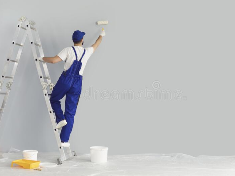 5 Star Painting Contractor